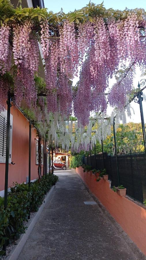 Casa Vacanze Mimose Palinuro Exterior photo