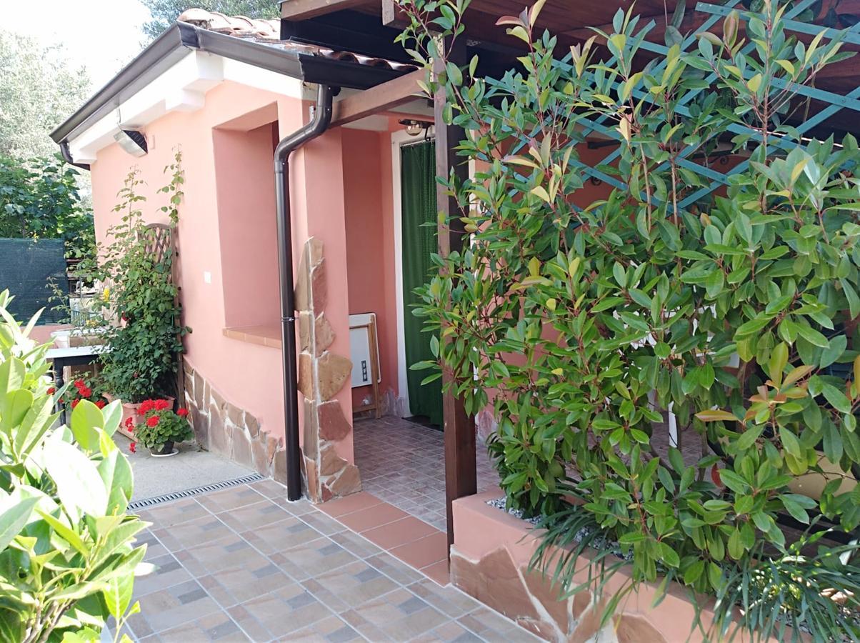 Casa Vacanze Mimose Palinuro Exterior photo